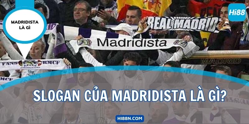 Madridista Là Gì? Tất Cả Những Điều Bạn Muốn Biết Về Madridista 